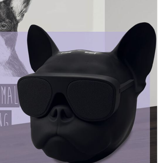  - DOUGLAS bluetooth speaker